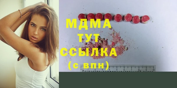 мдпв Богородск