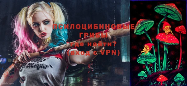 мдпв Богородск