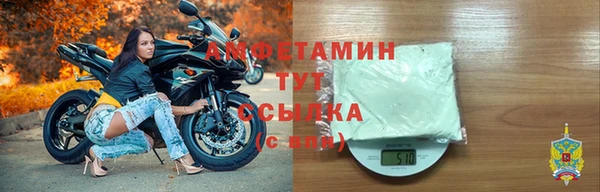мдпв Богородск