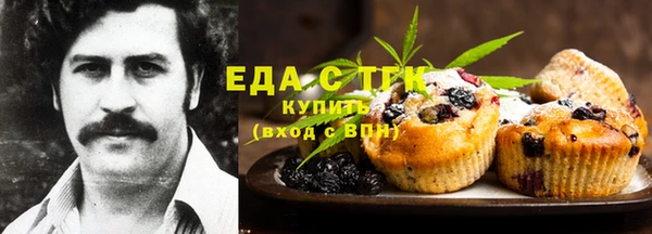 мдпв Богородск
