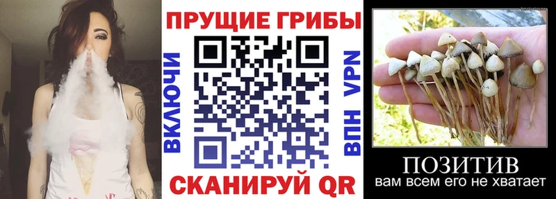 Псилоцибиновые грибы Magic Shrooms Сковородино