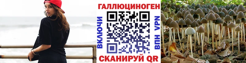 Галлюциногенные грибы мухоморы  Сковородино 